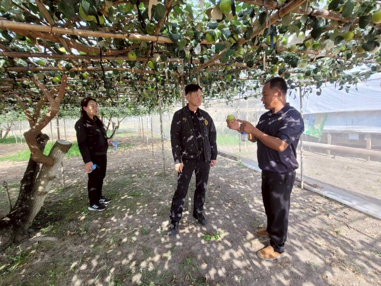 title - ผู้ตรวจราชการกรม ประชุมติดตามผลการดำเนินงานตามแผนการตรวจราชการของ ส.ป.ก. ประจำปีงบประมาณ พ.ศ. 2569 รอบที่ 1 จังหวัดพิจิตร